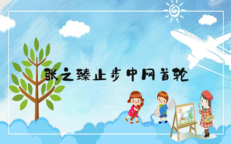 张之臻止步中网首轮