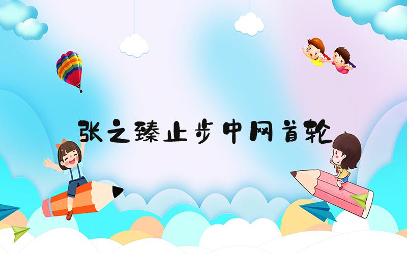 张之臻止步中网首轮