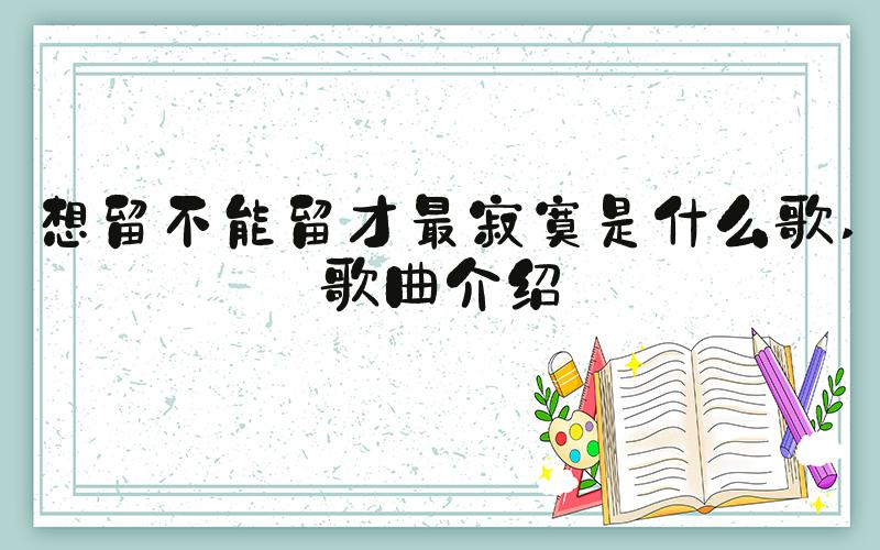 想留不能留才最寂寞是什么歌 歌曲介绍