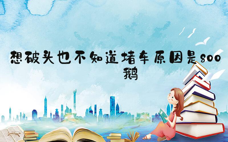 想破头也不知道堵车原因是800只鹅