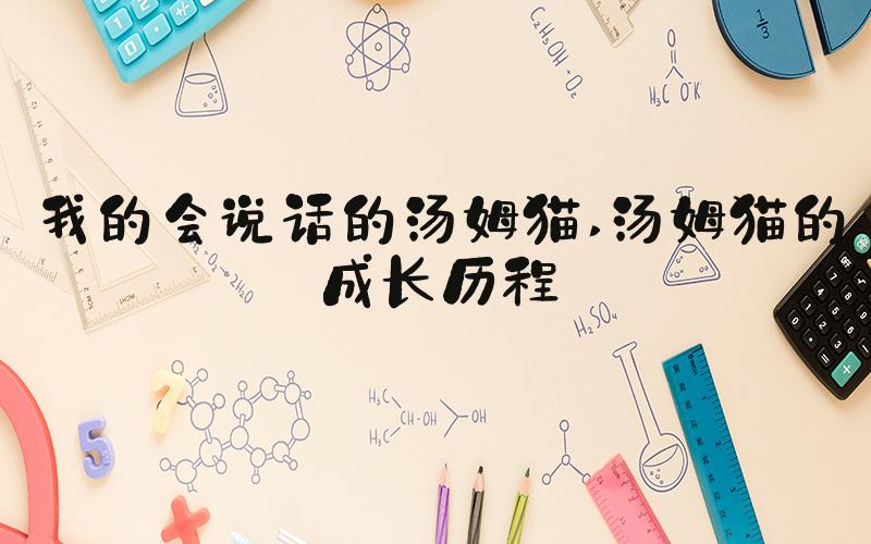 我的会说话的汤姆猫 汤姆猫的成长历程