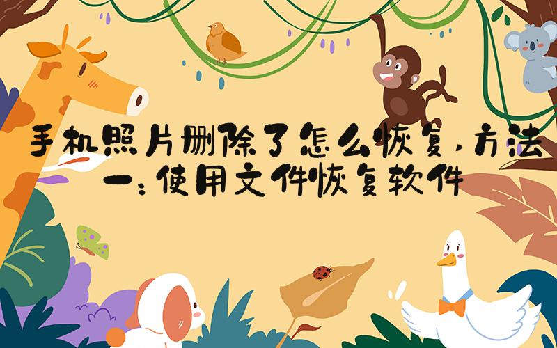 手机照片删除了怎么恢复 方法一：使用文件恢复软件