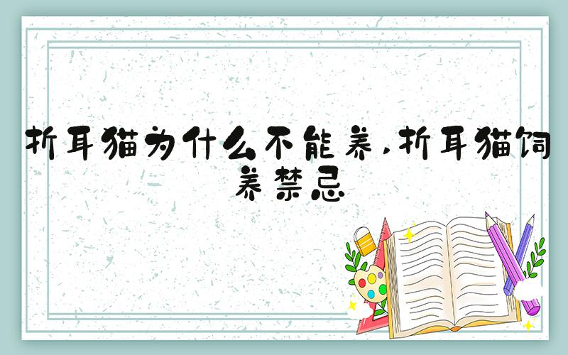 折耳猫为什么不能养 折耳猫饲养禁忌