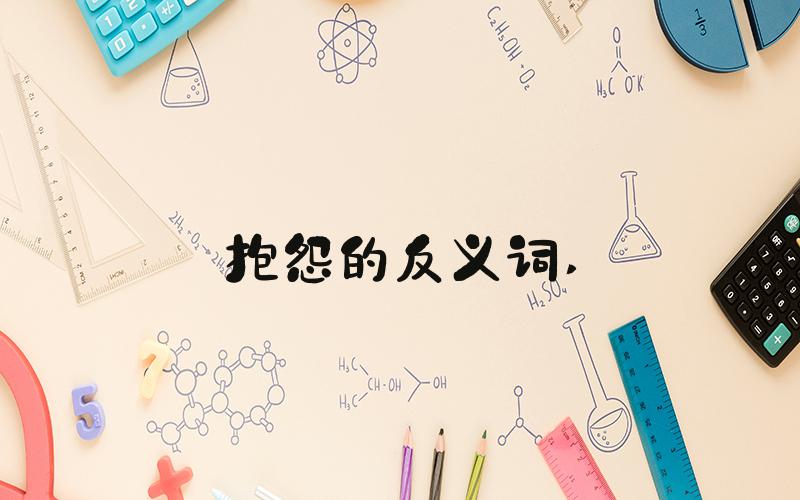 抱怨的反义词 