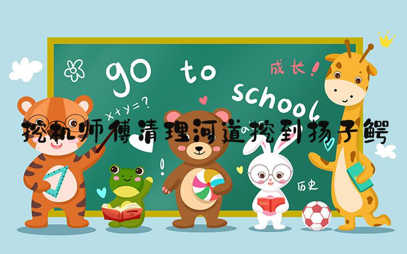 挖机师傅清理河道挖到扬子鳄