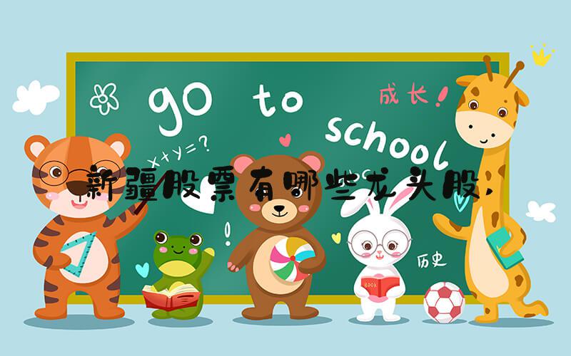 新疆股票有哪些龙头股 