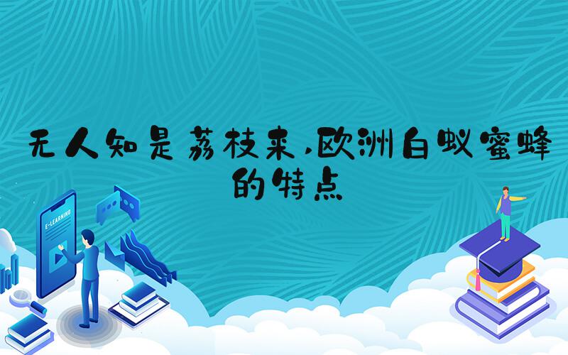 无人知是荔枝来 欧洲白蚁蜜蜂的特点
