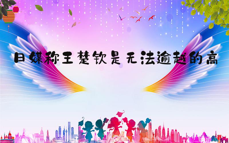 日媒称王楚钦是无法逾越的高墙