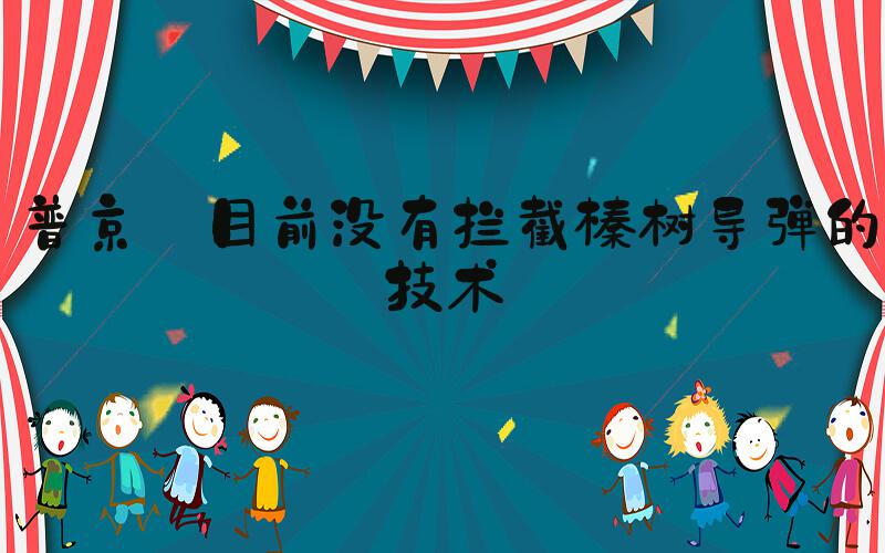 普京:目前没有拦截榛树导弹的技术