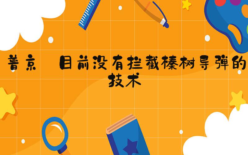 普京:目前没有拦截榛树导弹的技术