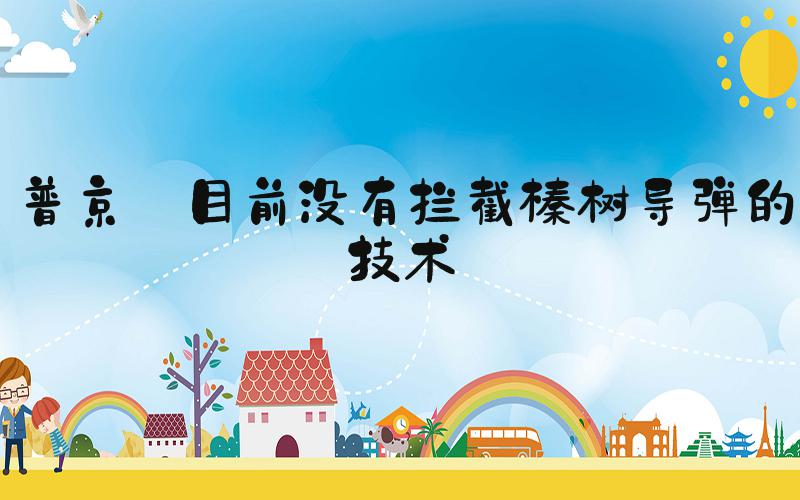 普京:目前没有拦截榛树导弹的技术