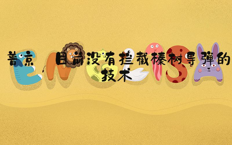 普京:目前没有拦截榛树导弹的技术