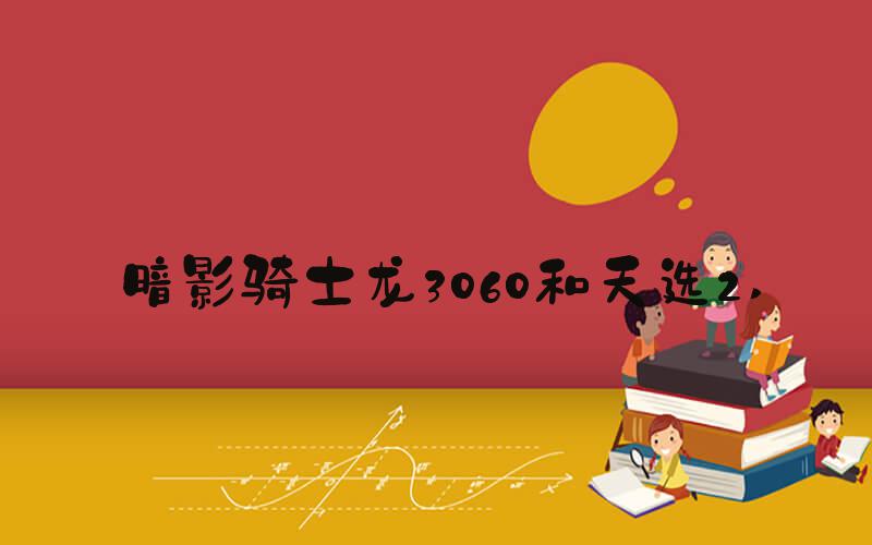 暗影骑士龙3060和天选2 