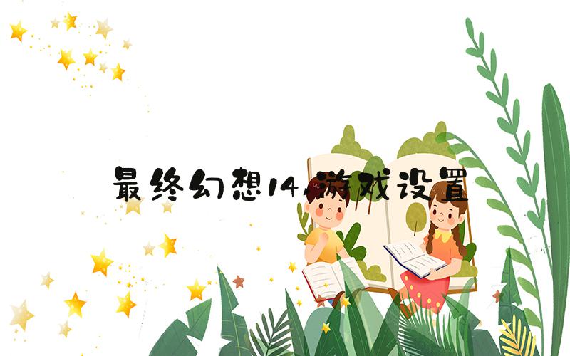 最终幻想14 游戏设置