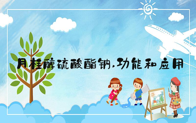 月桂醇硫酸酯钠 功能和应用
