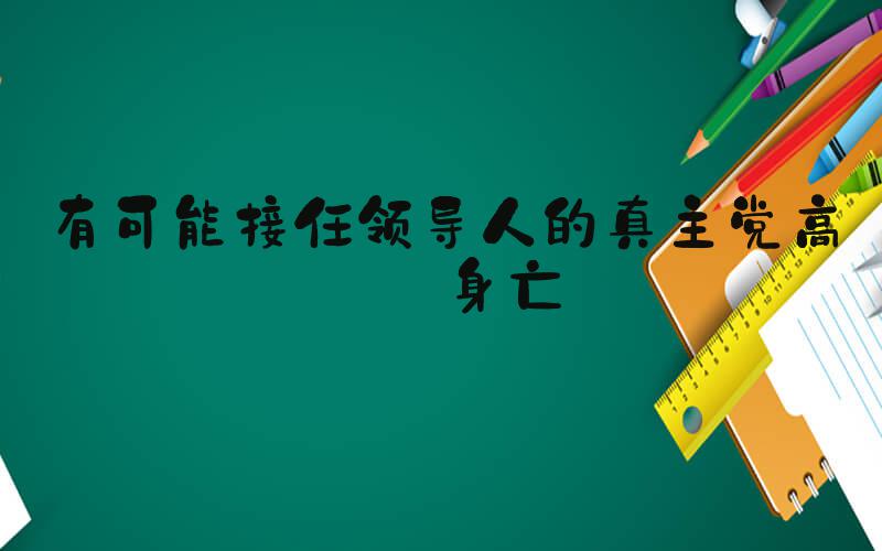 有可能接任领导人的真主党高层身亡