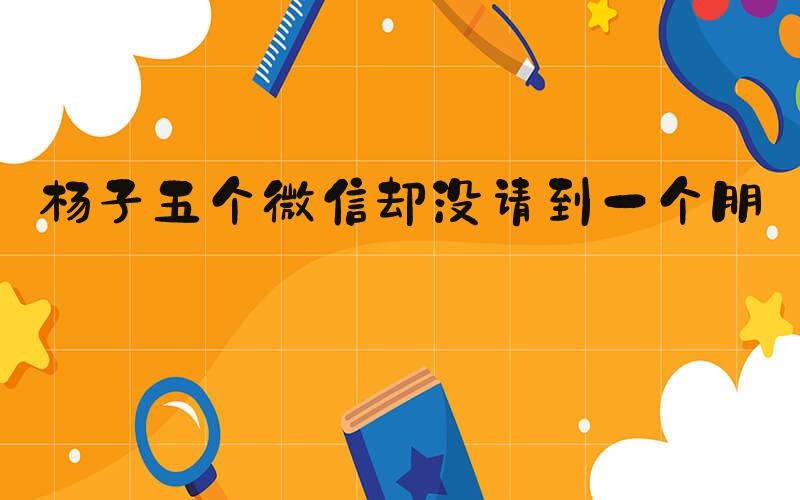 杨子五个微信却没请到一个朋友