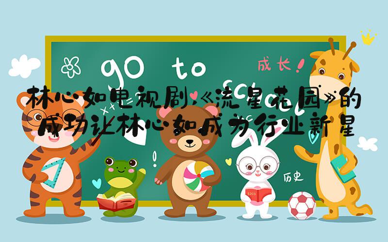 林心如电视剧 《流星花园》的成功让林心如成为行业新星