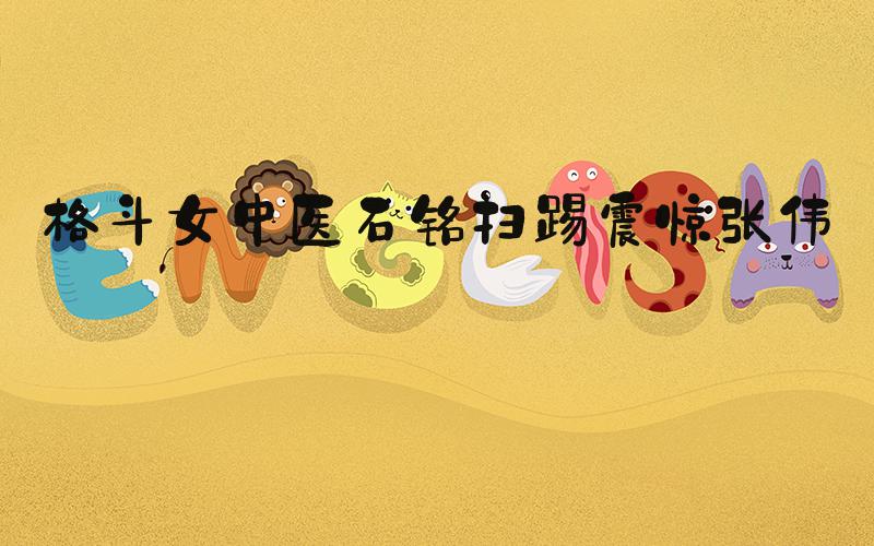 格斗女中医石铭扫踢震惊张伟丽
