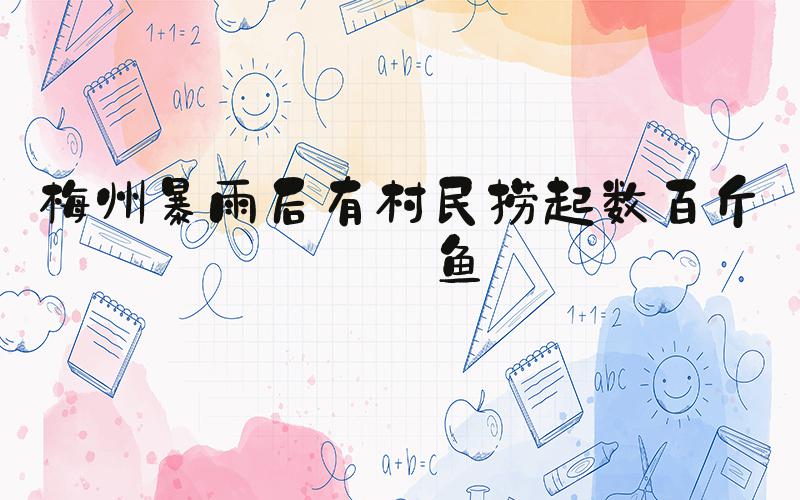梅州暴雨后有村民捞起数百斤大鱼