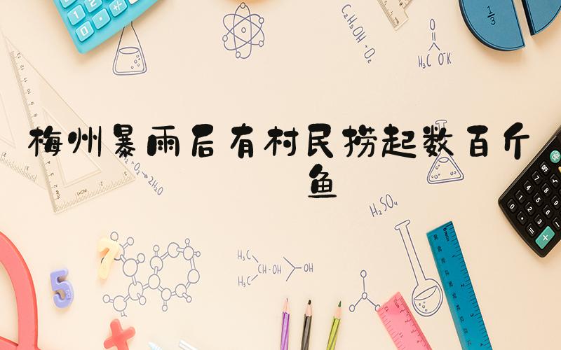 梅州暴雨后有村民捞起数百斤大鱼