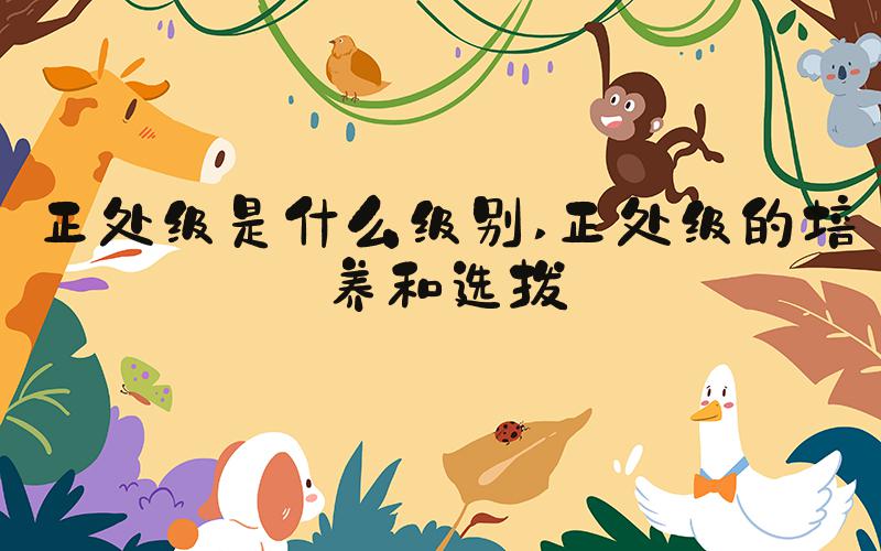 正处级是什么级别 正处级的培养和选拔