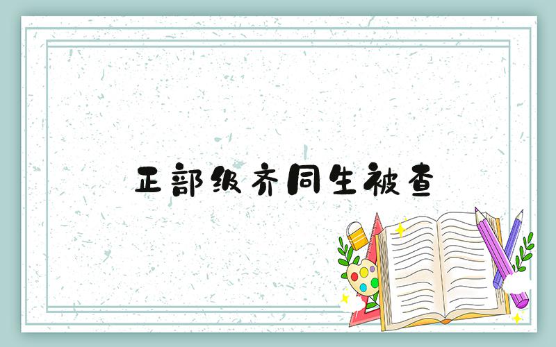 正部级齐同生被查
