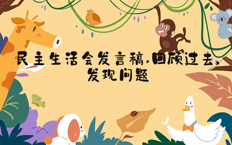 民主生活会发言稿 回顾过去，发现问题