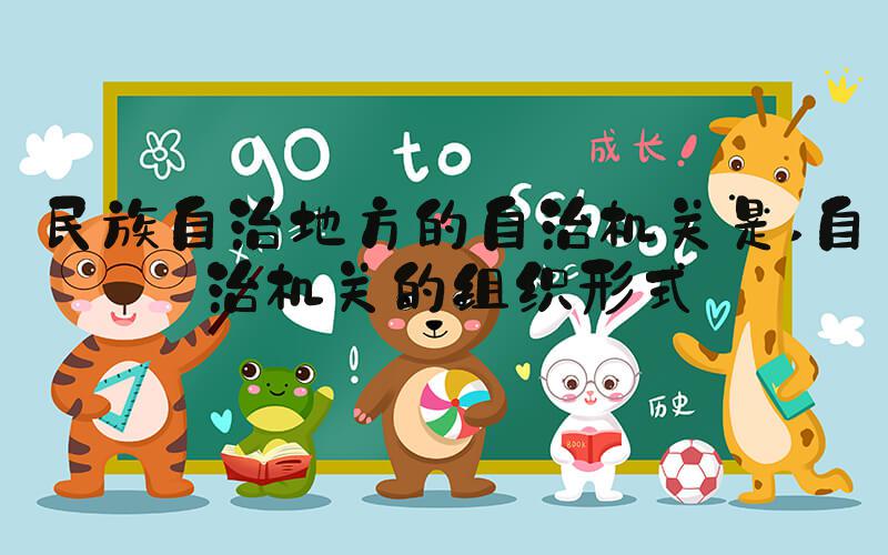 民族自治地方的自治机关是 自治机关的组织形式