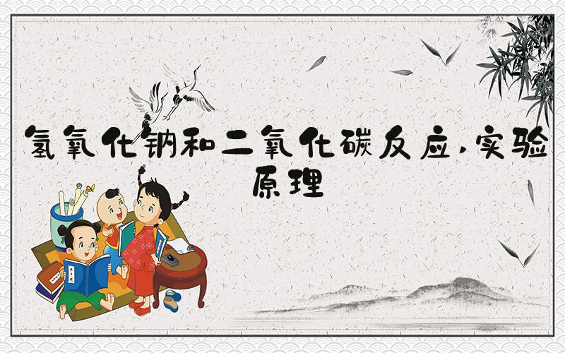 氢氧化钠和二氧化碳反应 实验原理