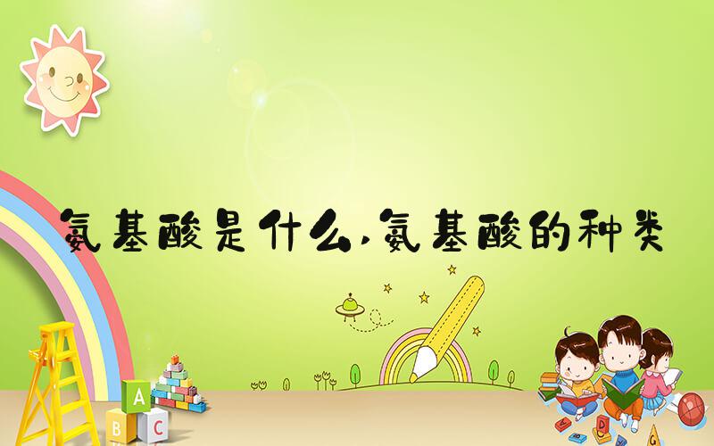 氨基酸是什么 氨基酸的种类