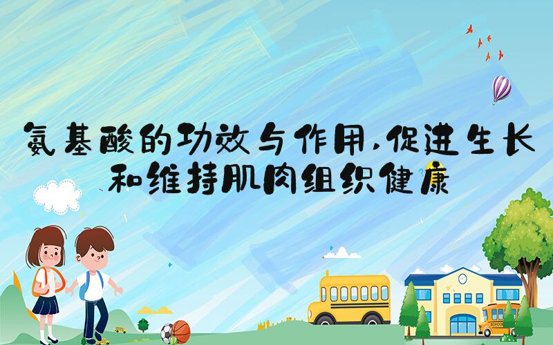 氨基酸的功效与作用 促进生长和维持肌肉组织健康