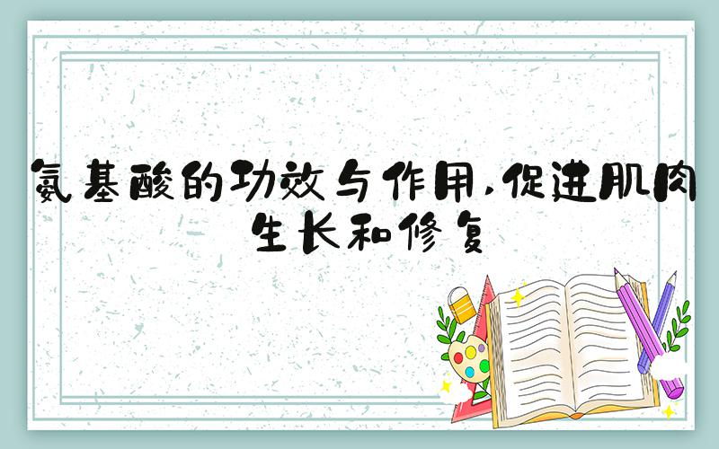 氨基酸的功效与作用 促进肌肉生长和修复