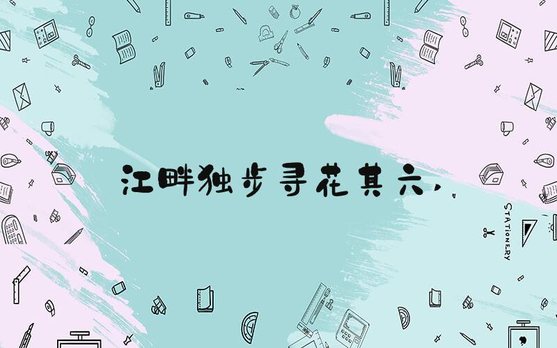 江畔独步寻花其六 