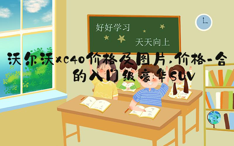 沃尔沃xc40价格及图片 价格-合理的入门级豪华SUV