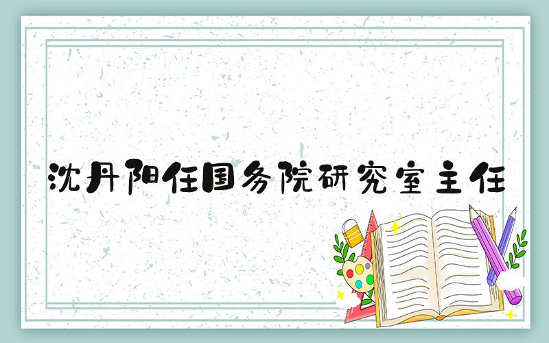 沈丹阳任国务院研究室主任