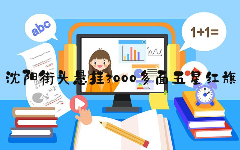 沈阳街头悬挂3000多面五星红旗