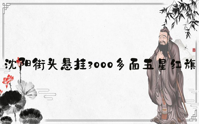 沈阳街头悬挂3000多面五星红旗