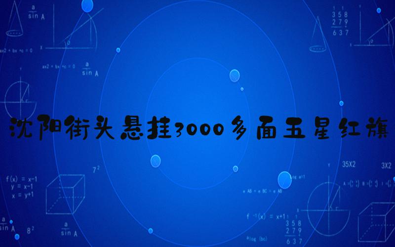 沈阳街头悬挂3000多面五星红旗
