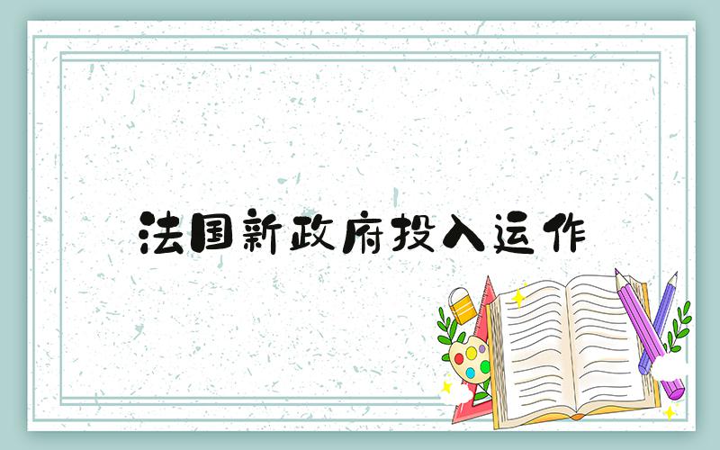 法国新政府投入运作