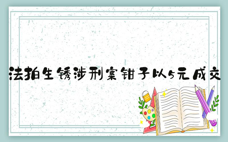 法拍生锈涉刑案钳子以5元成交