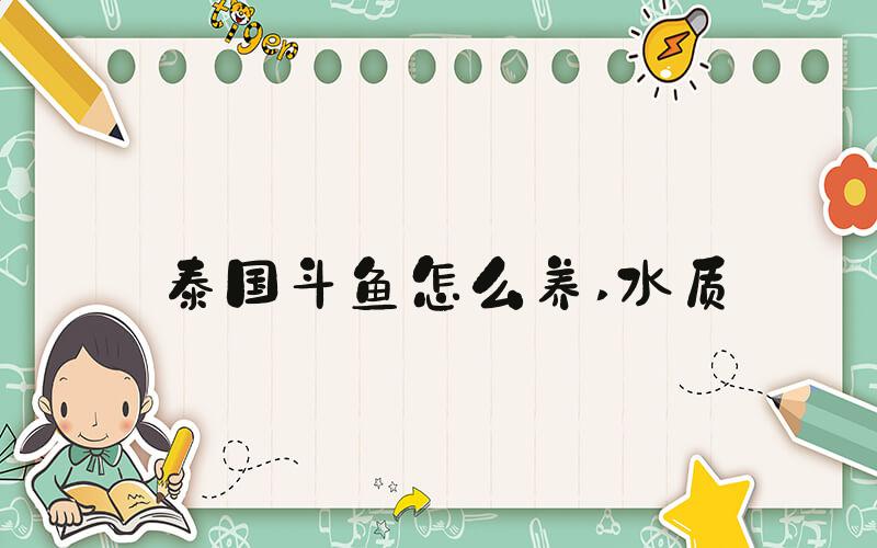 泰国斗鱼怎么养 水质