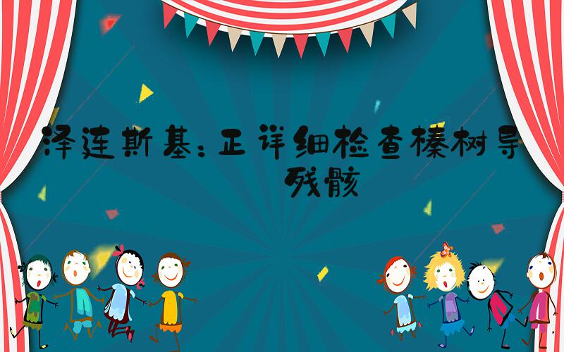 泽连斯基：正详细检查榛树导弹残骸