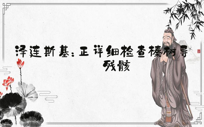 泽连斯基：正详细检查榛树导弹残骸