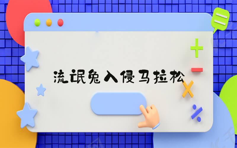 流氓兔入侵马拉松