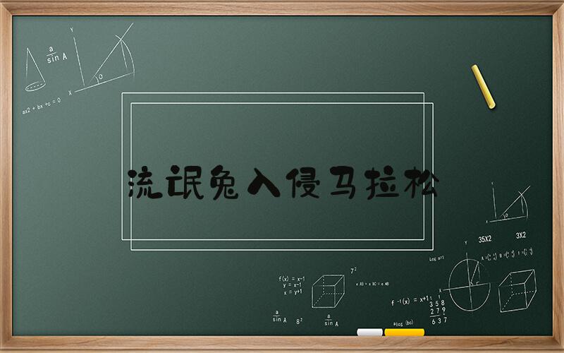 流氓兔入侵马拉松