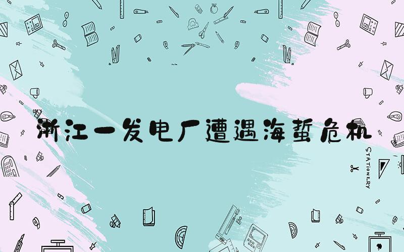 浙江一发电厂遭遇海蜇危机