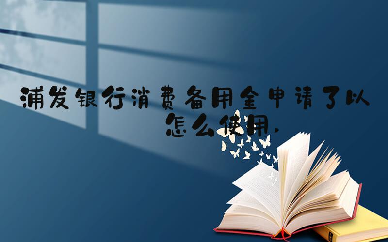 浦发银行消费备用金申请了以后怎么使用 