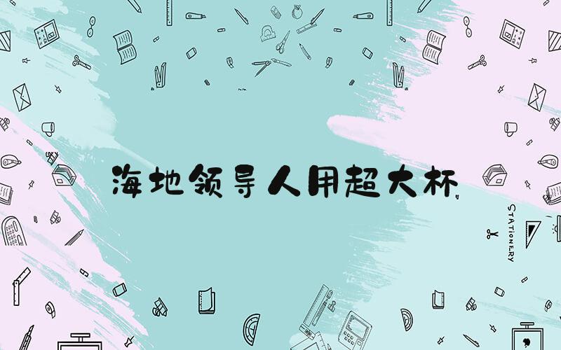 海地领导人用超大杯