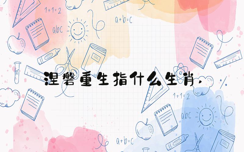 涅磐重生指什么生肖 